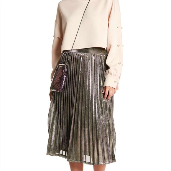 Nordstrom Dresses & Skirts - *NWOT* Metallic Pleated Skirt Never Worn!!
